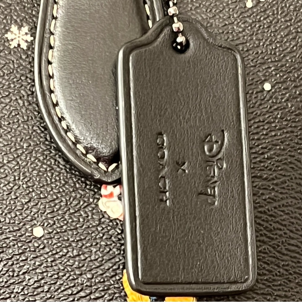 Coach X Disney Collaboration Gallery Tote 👜 - Picture 12 of 13
